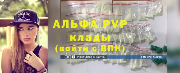 стаф Каменногорск