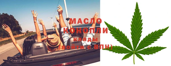 стаф Каменногорск