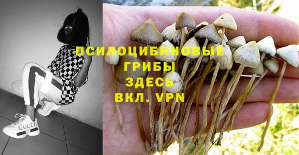 кокаин колумбия Каменка