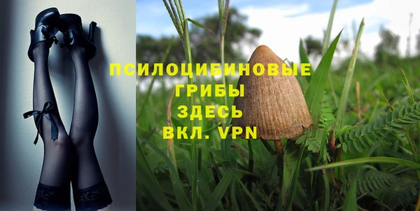 стаф Каменногорск
