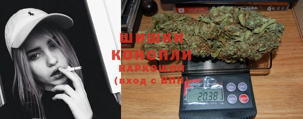 стаф Каменногорск